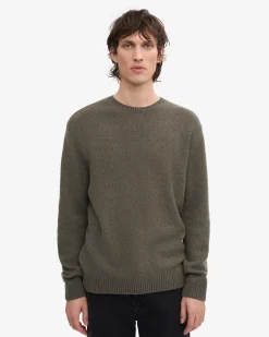 Classic Merino Wool Crew - Dusty Olive