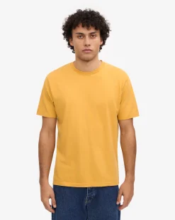 Classic Organic Tee - Burned Yellow (3-Pack)