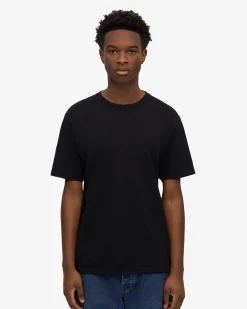 Classic Organic Tee - Mixed 06 (3-Pack)