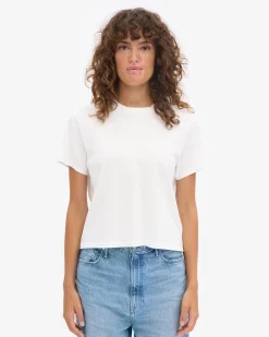 Organic Boxy Crop Tee - Mixed 04 (3-Pack)