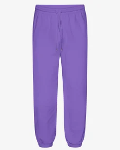 Organic Relaxed Sweatpants - Ultra Violet